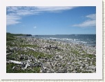 Shore near Port au Choix * 2592 x 1944 * (1.9MB)